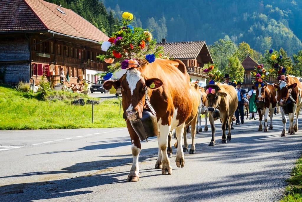 Confortable Chalet Avec Magnifique Vue En Gruyere. ชาร์มมี ภายนอก รูปภาพ