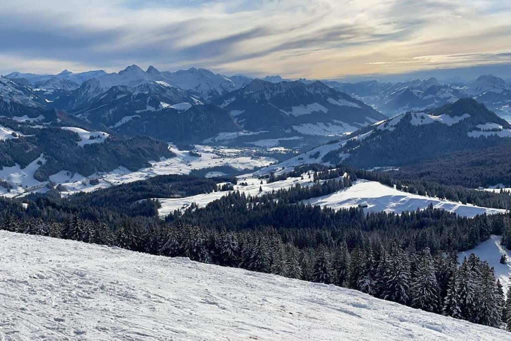 Confortable Chalet Avec Magnifique Vue En Gruyere. ชาร์มมี ภายนอก รูปภาพ